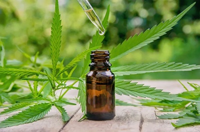 Buds and Beauty: What is CBD (Cannabidiol) and Why Is it in Everything?